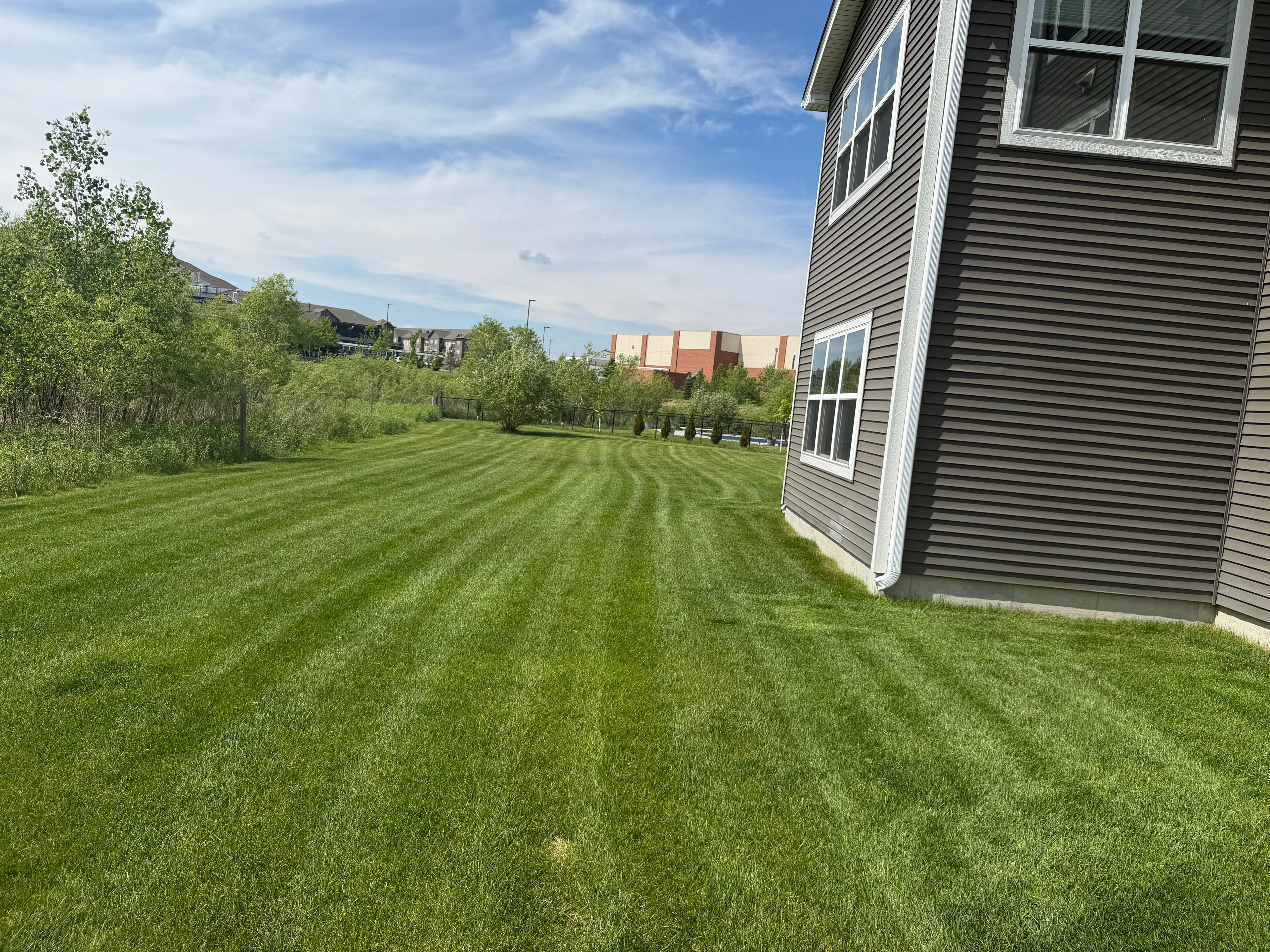 Lawn services